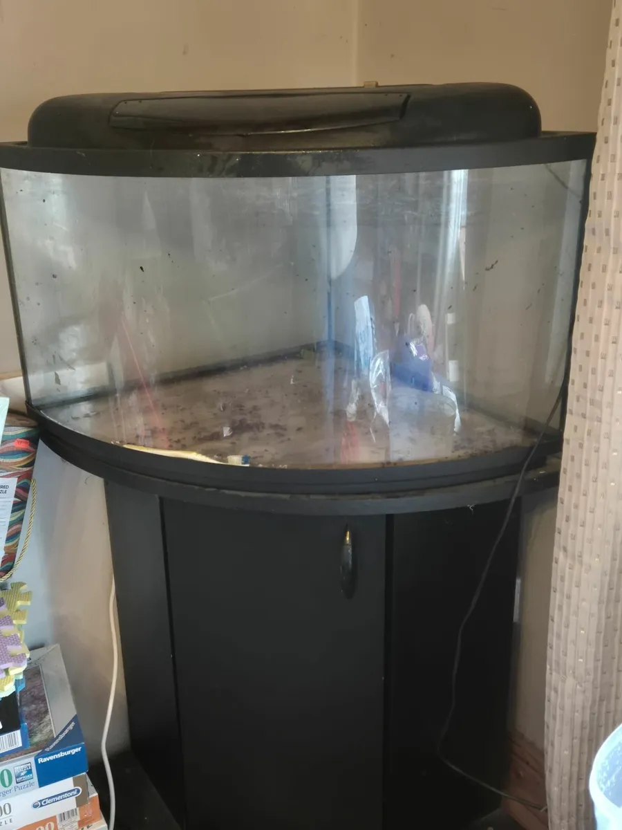 Corner fish tank - Image 1