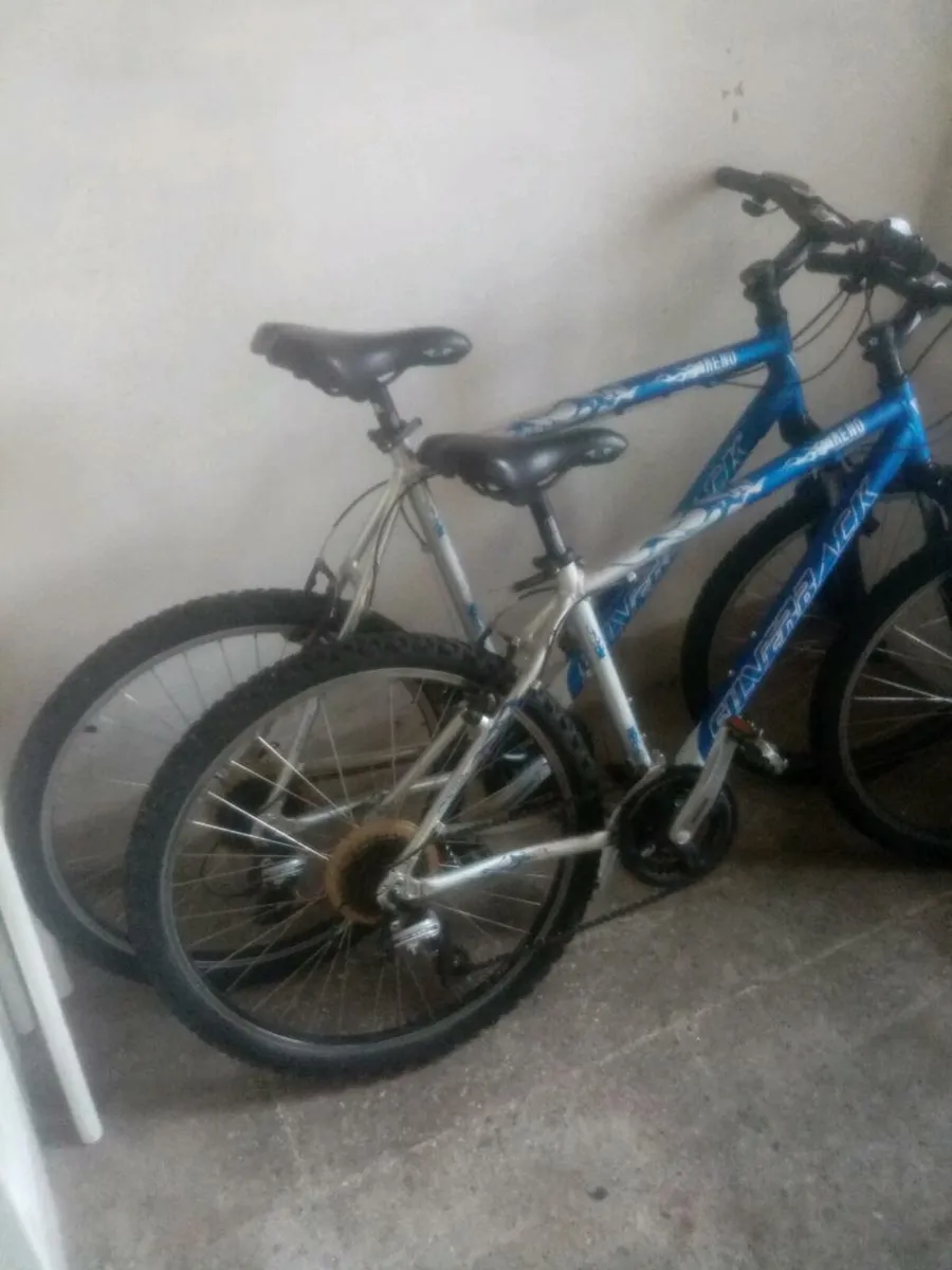 2 Mountain Bikes - Image 1