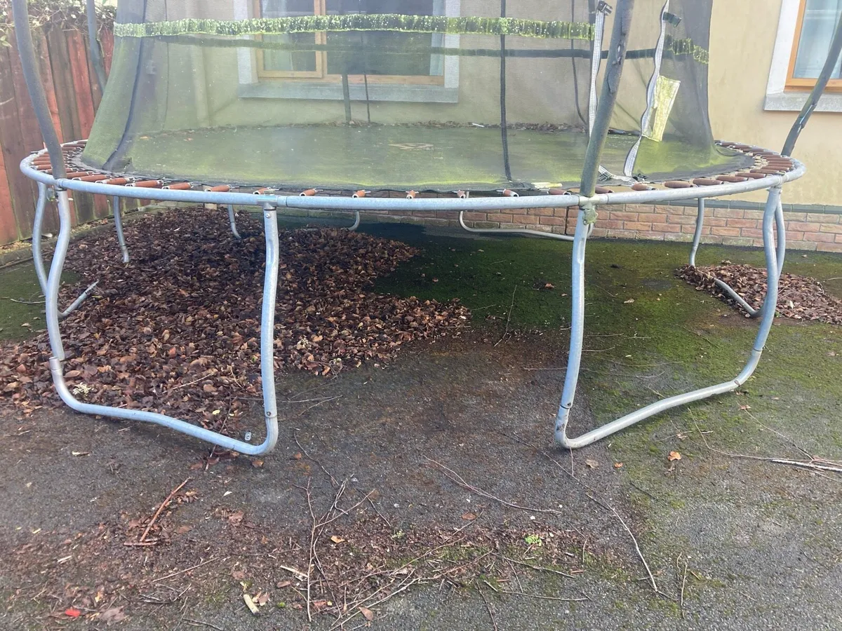 Trampoline - Image 2