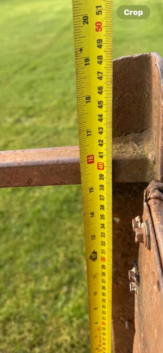 8by 4 Trailer - Image 4