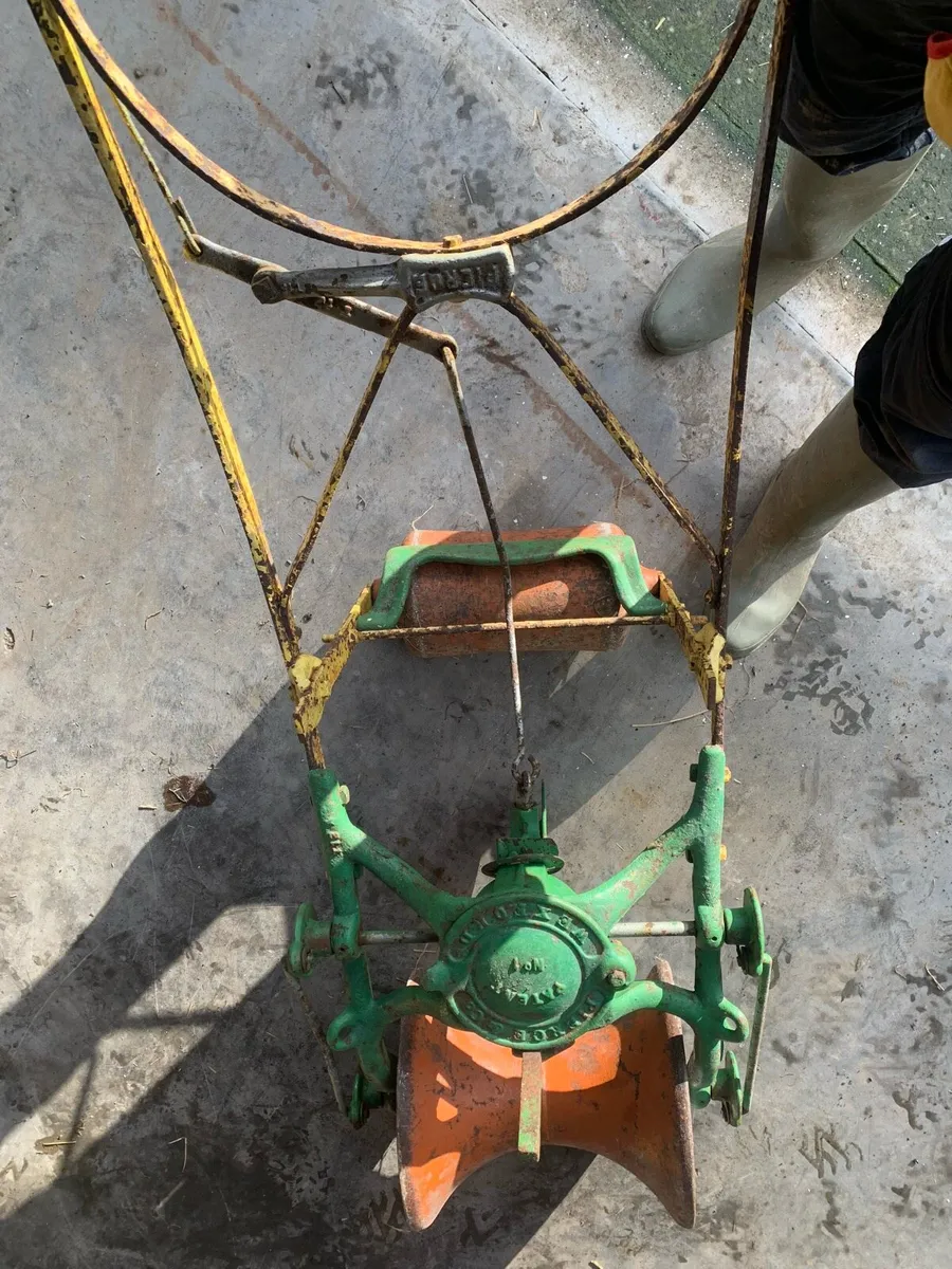 Pierce turnip planter - Image 2