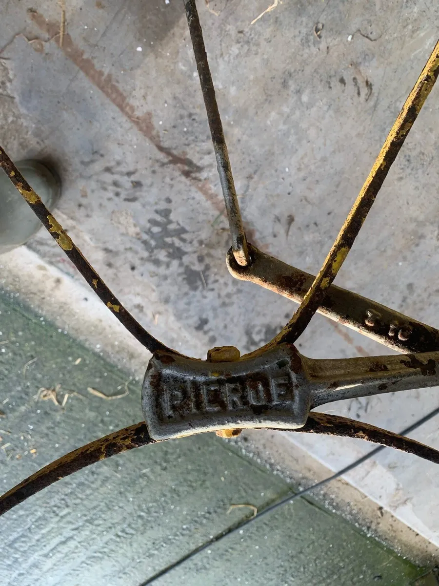 Pierce turnip planter - Image 4