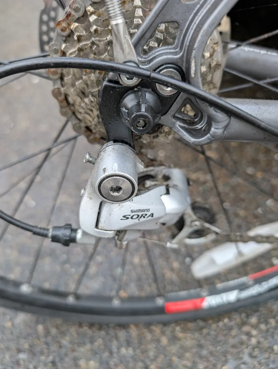 Ridgeback Flight 02 - Large - Image 2