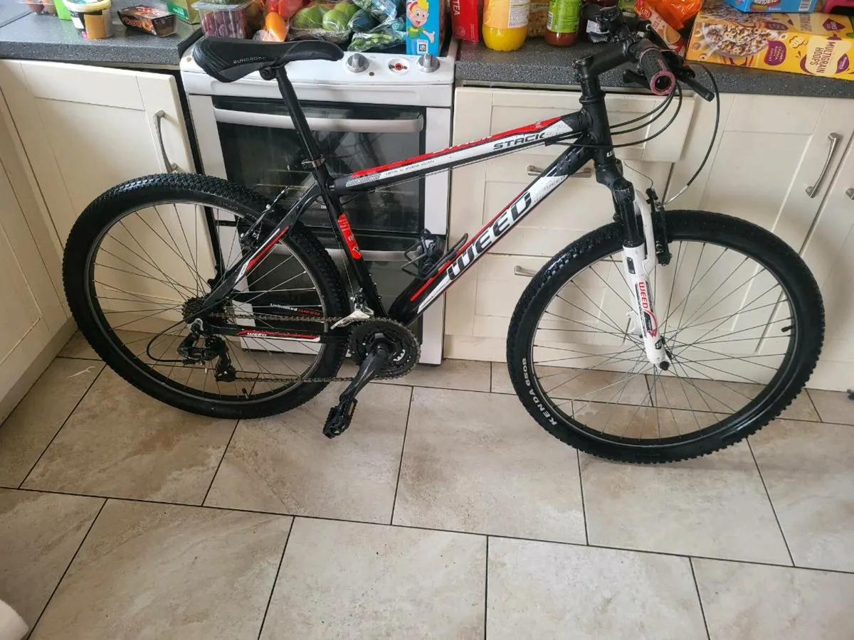 Mountain bike - Image 1