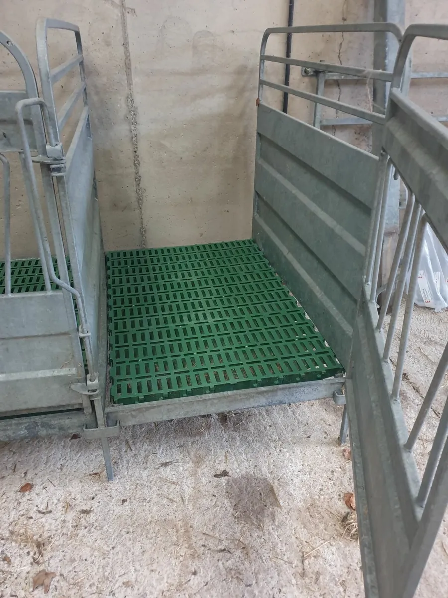 Calf pens - Image 2