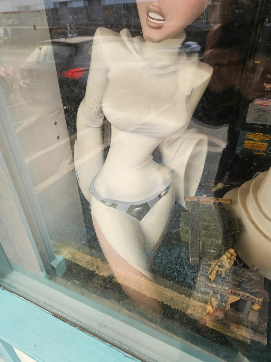 Star Wars Life Size Princess Leia - Image 3