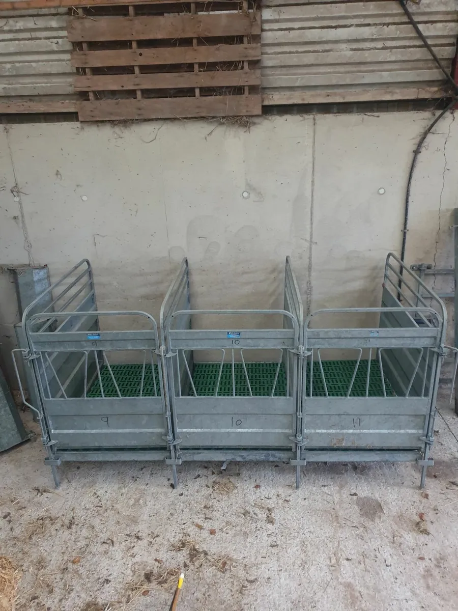 Calf pens - Image 3