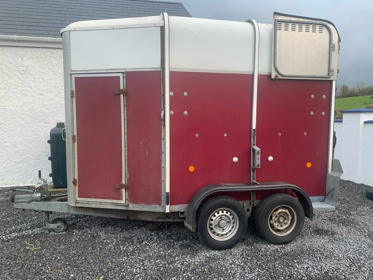 Iforwilliams 510 - Image 2