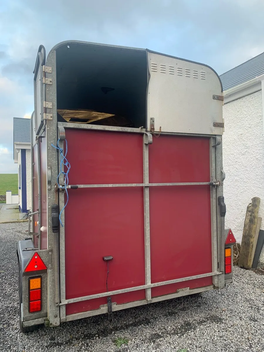 Iforwilliams 510 - Image 3