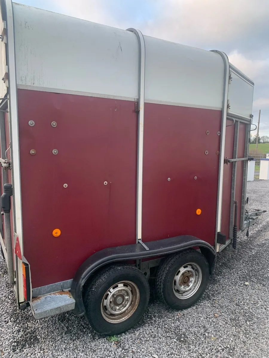 Iforwilliams 510 - Image 4