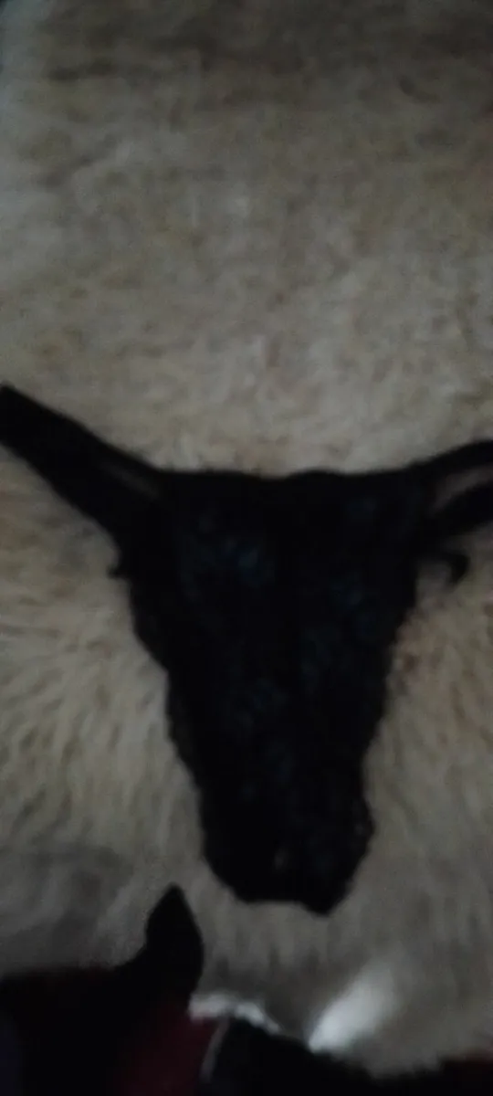 Crossdresser? Lingerie wigs silicone bra fillers - Image 4