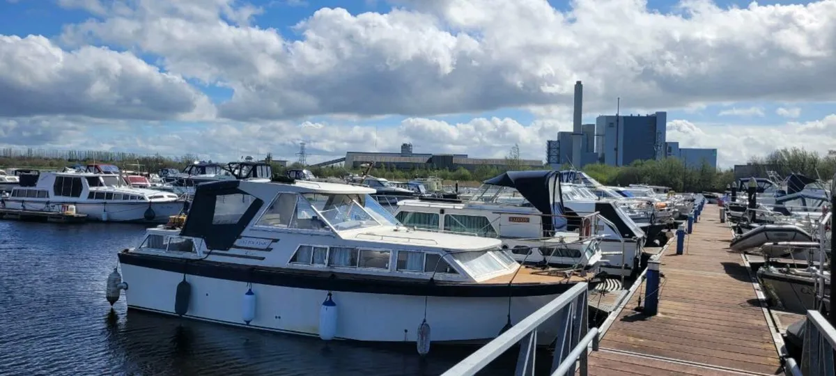 30 seamaster - Image 2