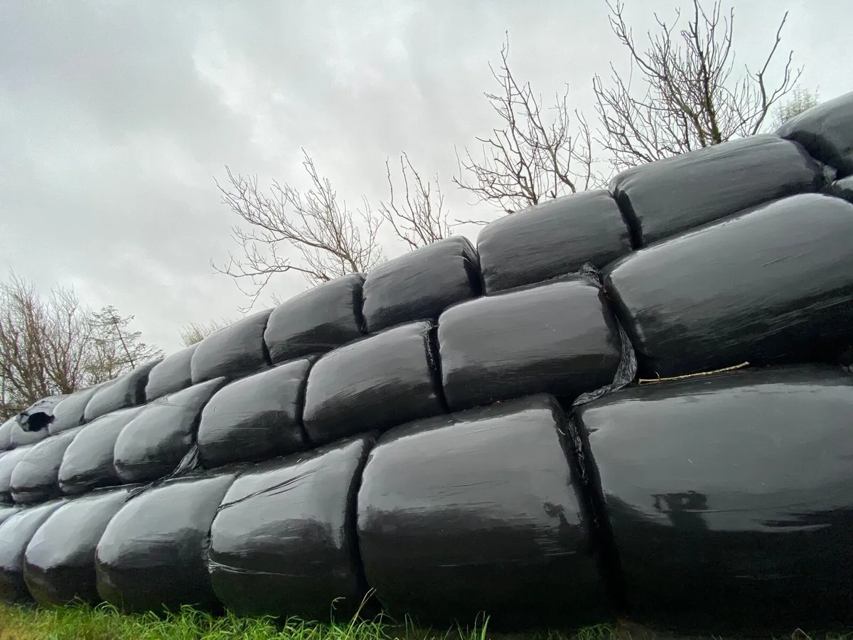 Silage bales - Image 1