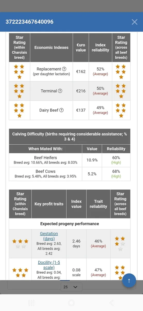 Smashing Pedigree Bull - Image 4