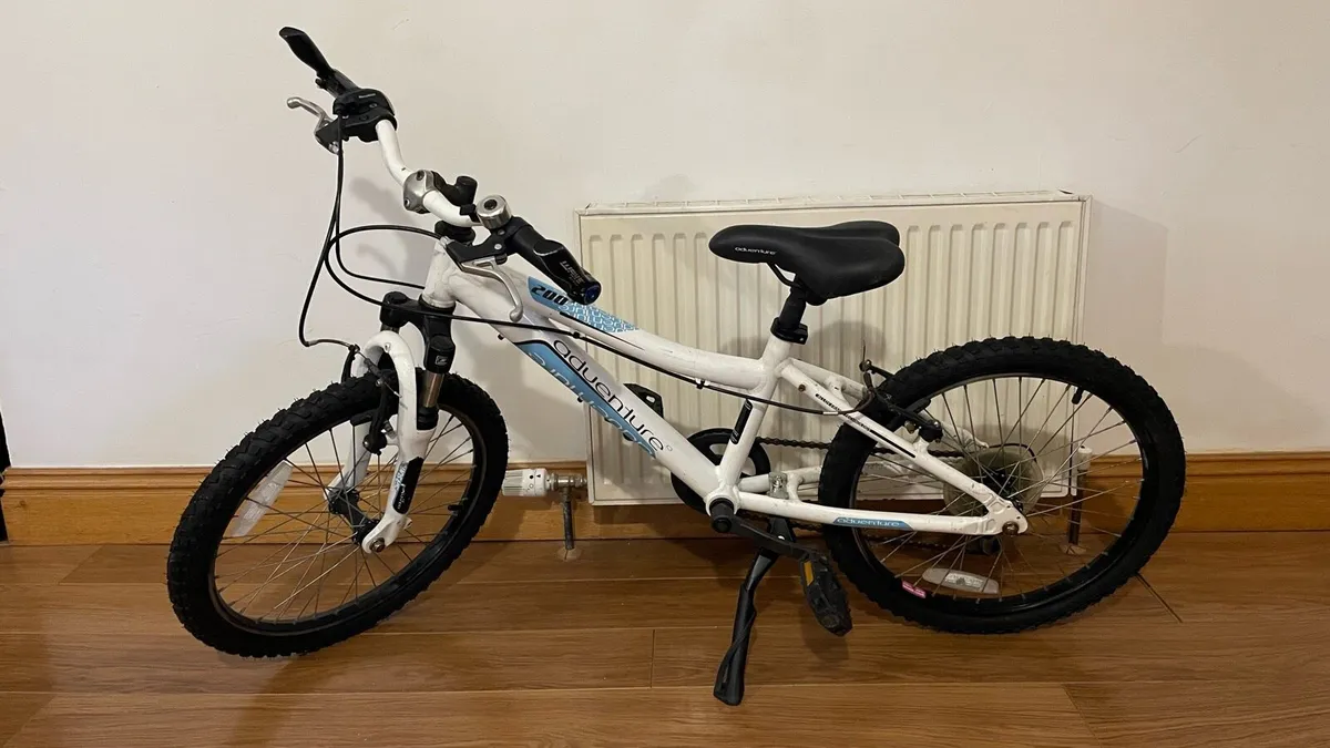 20” Bike - Image 1