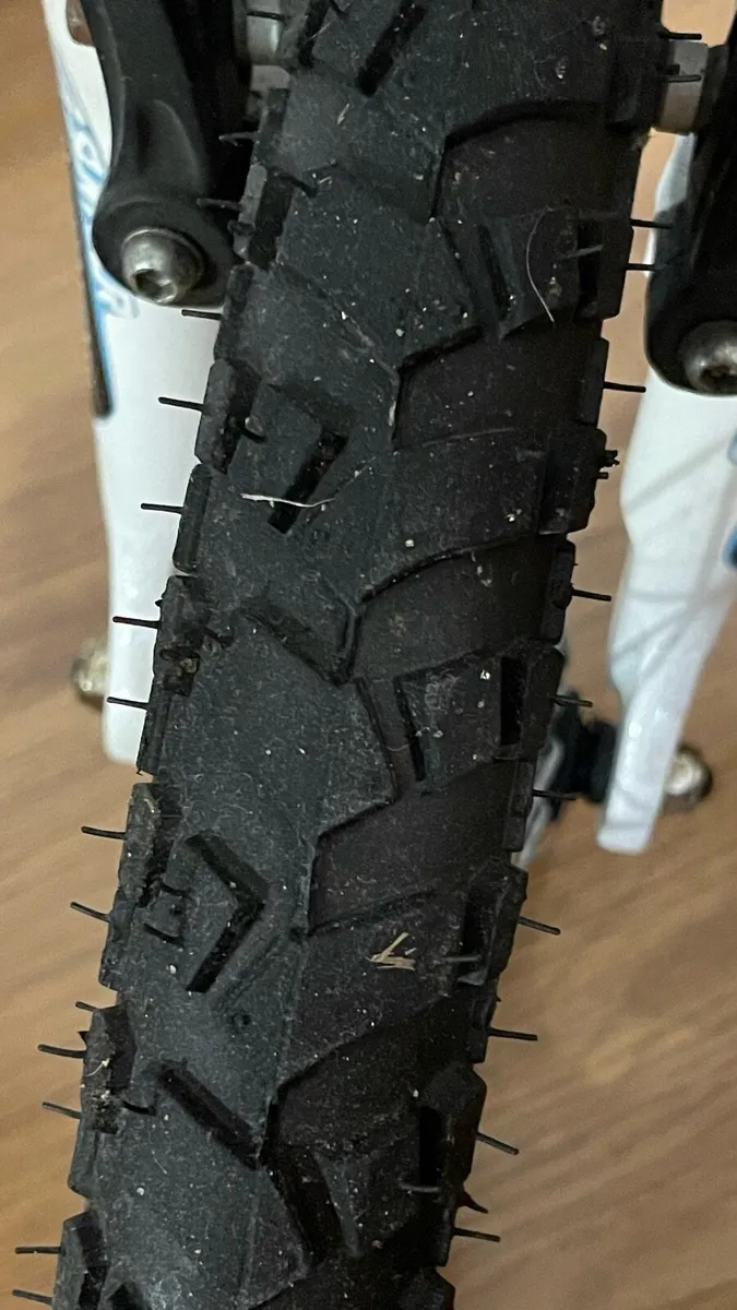 20” Bike - Image 2