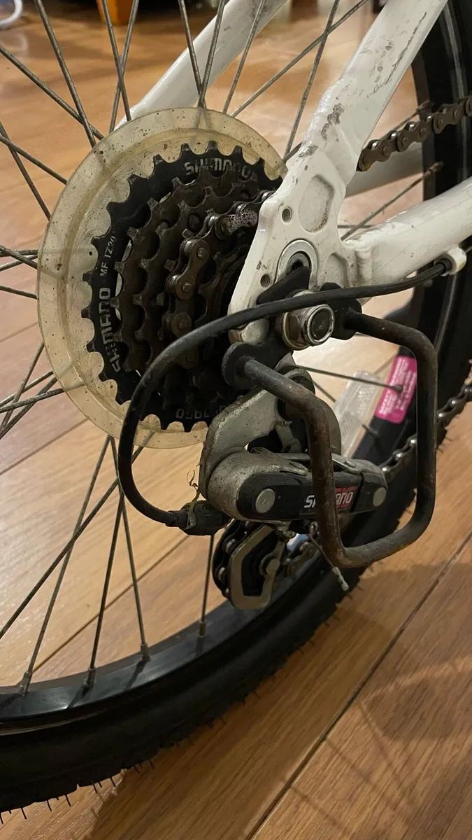 20” Bike - Image 4