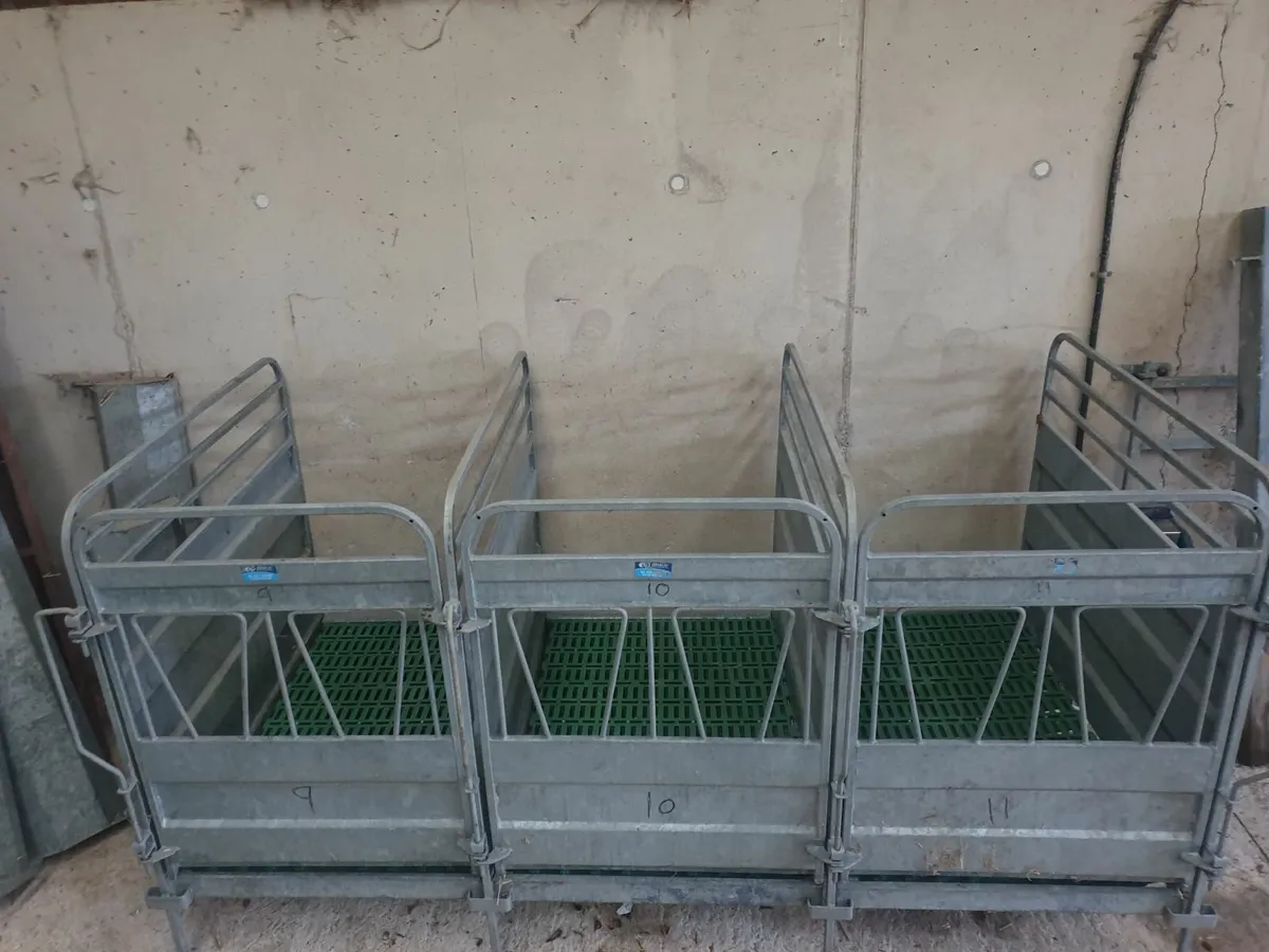 Calf pens - Image 4