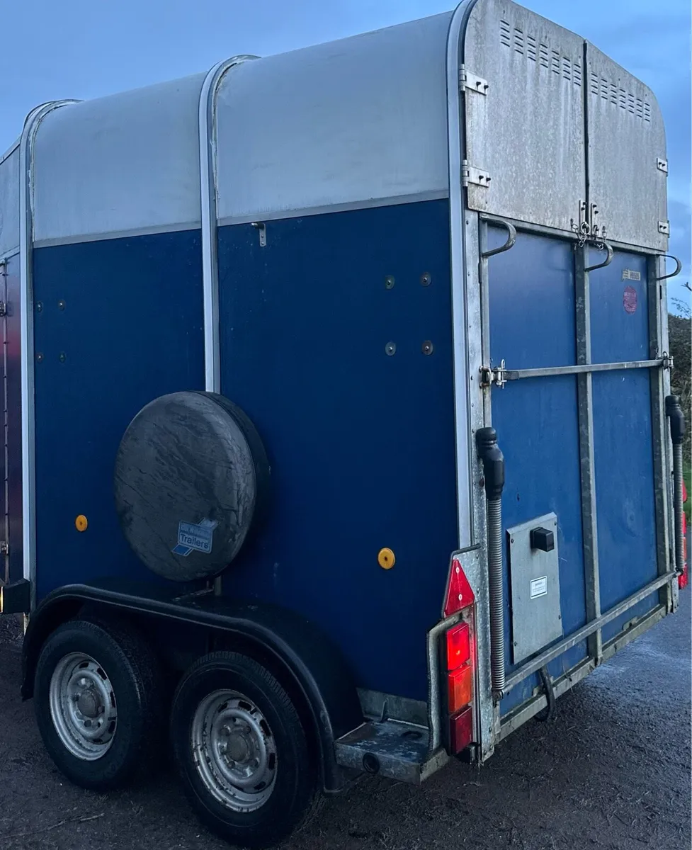 505 Ifor Williams Horse Box - Image 3