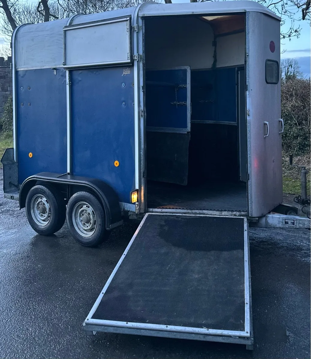 505 Ifor Williams Horse Box - Image 1
