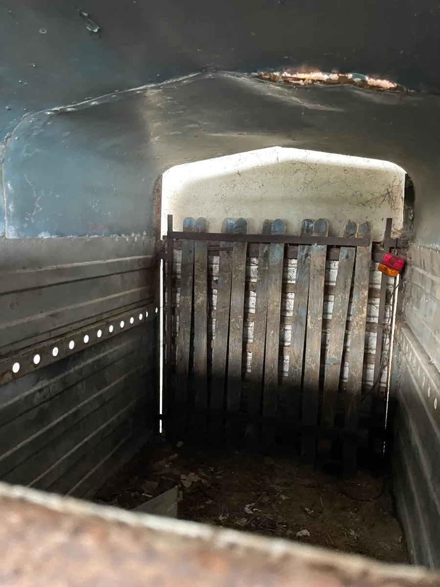 Animal trailer - Image 2