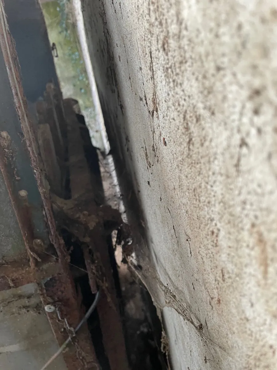 Animal trailer - Image 4