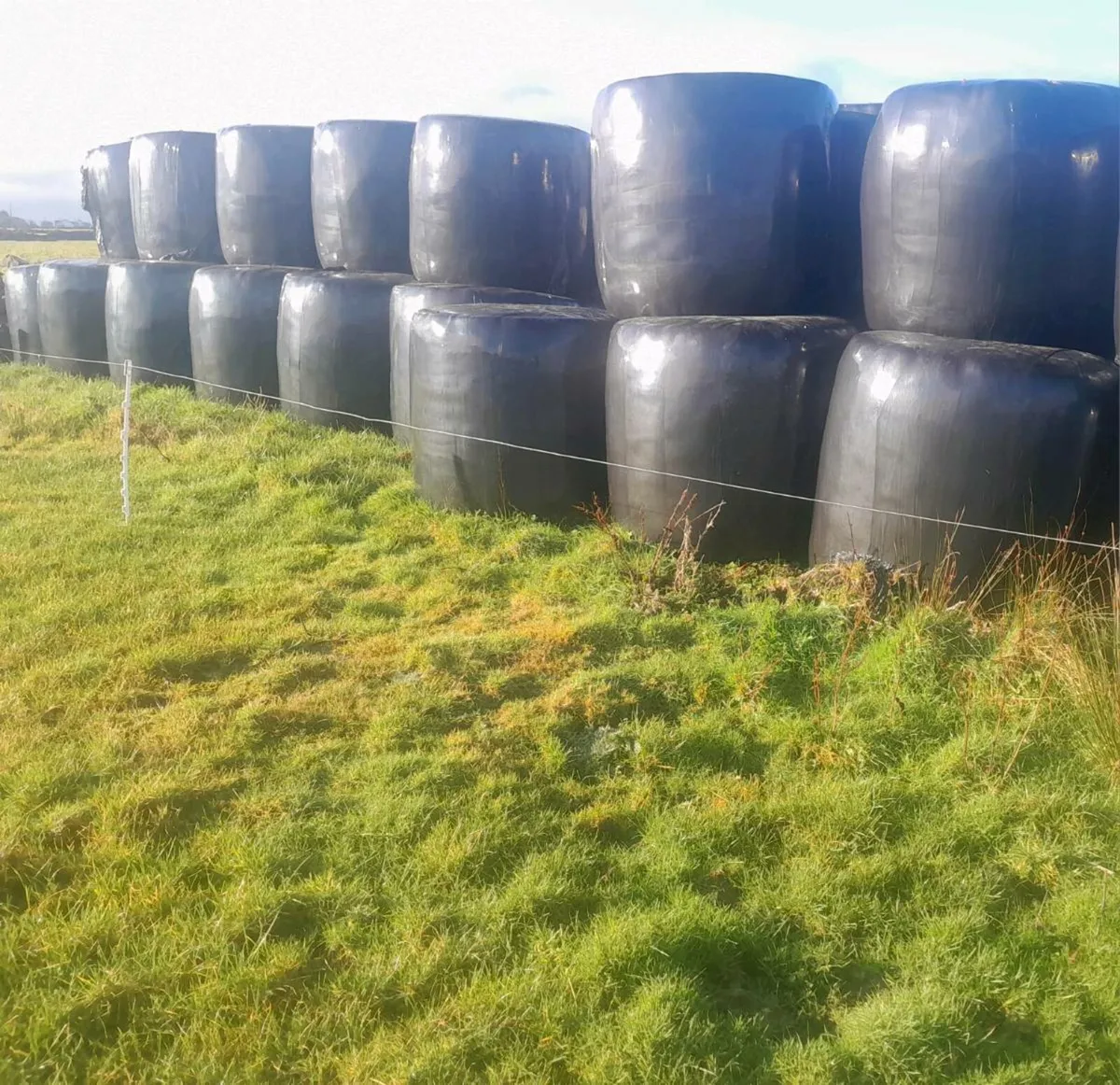Silage for sale - Image 1