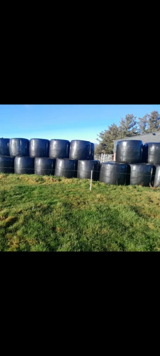 Silage for sale - Image 2