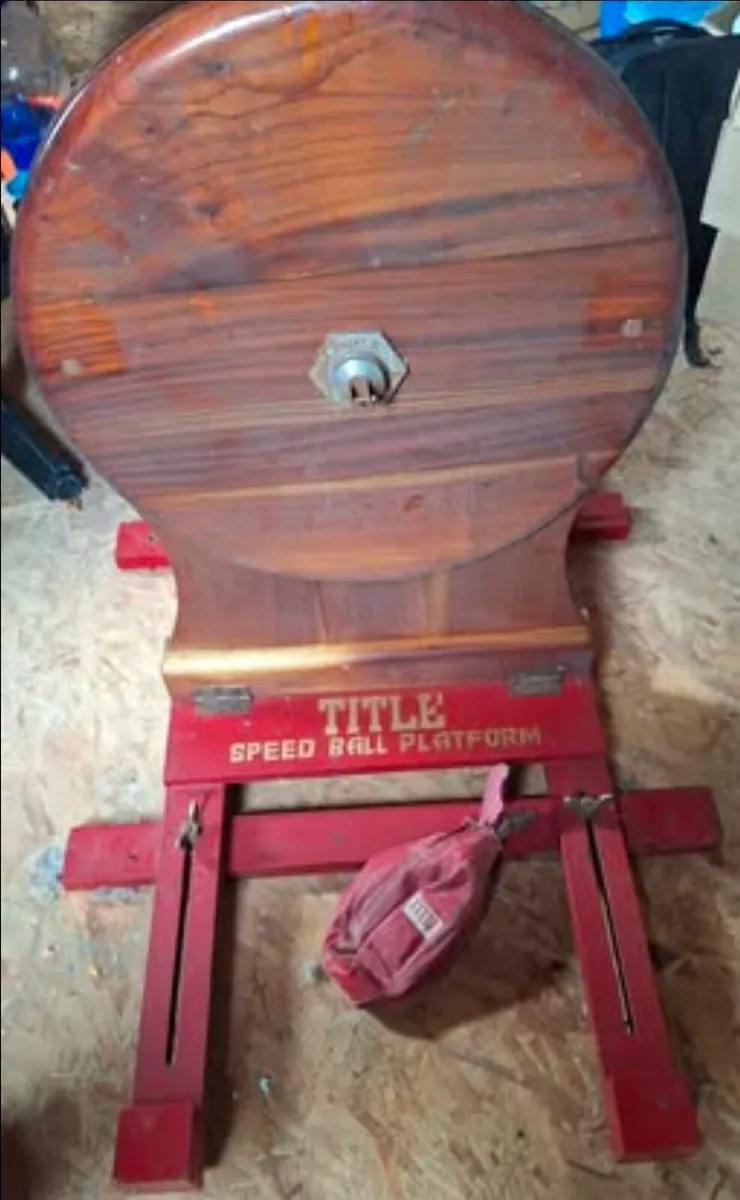 Boxing speed ball - Image 1