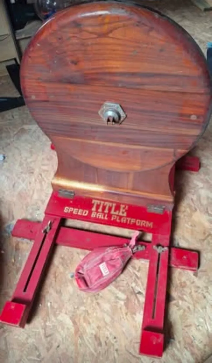 Boxing speed ball - Image 3