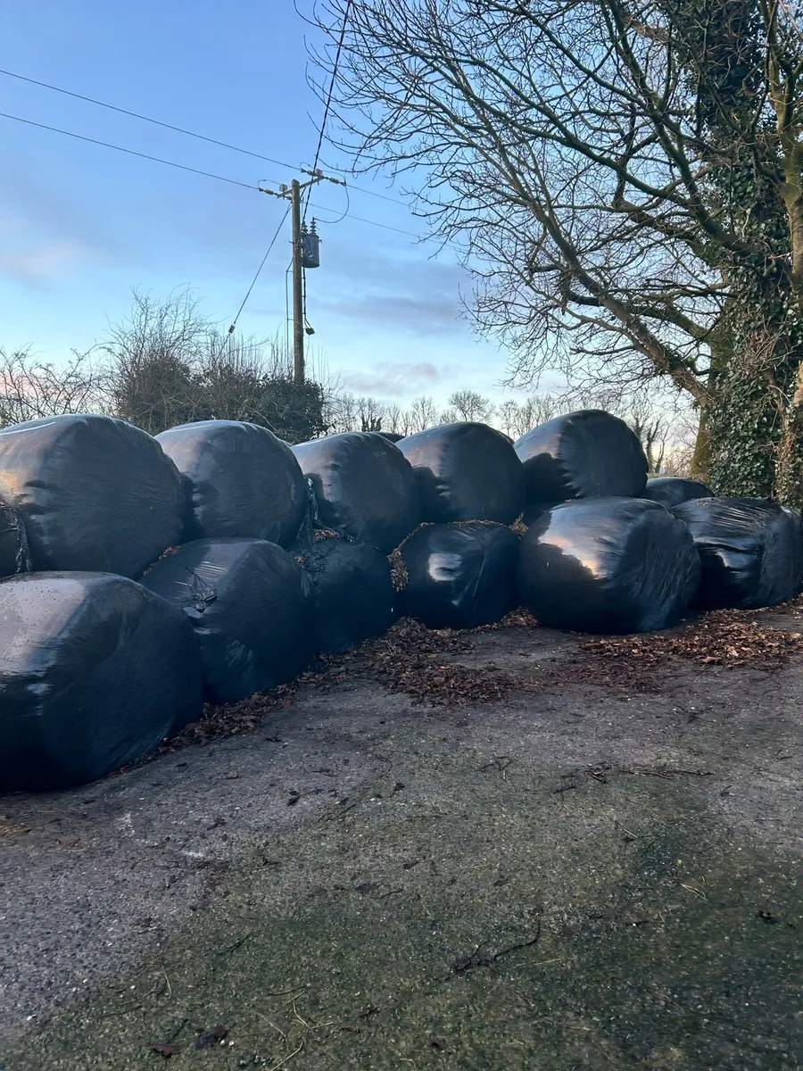 Haylage/Silage Bales