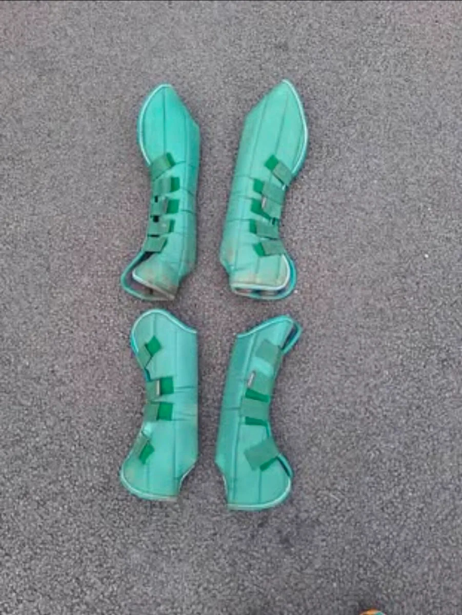 Horse travel boots - Image 1
