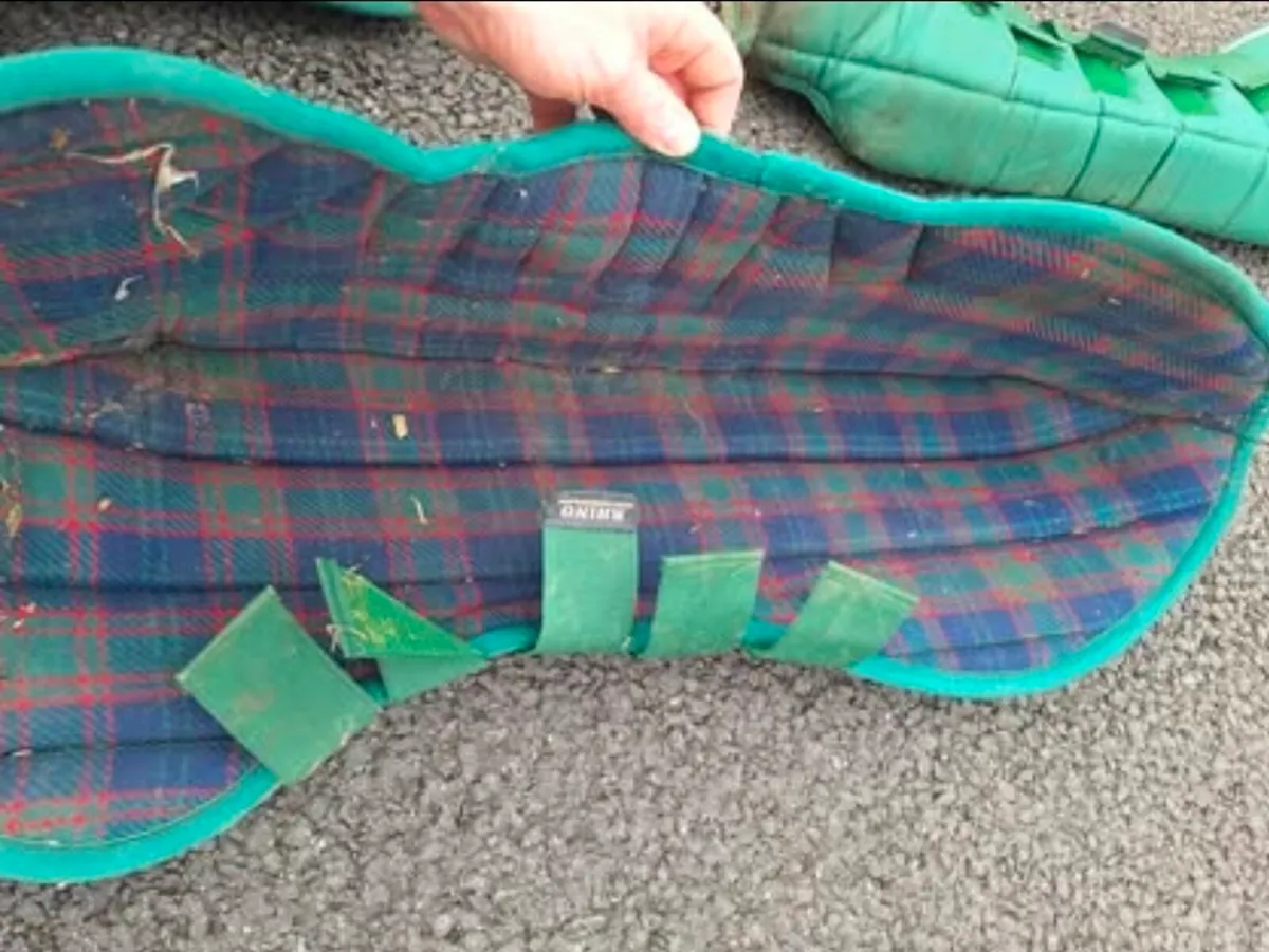 Horse travel boots - Image 3