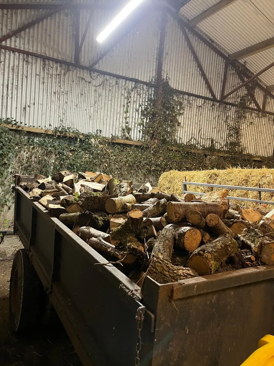 Trailer load of hardwood logs 🪵 - Image 1