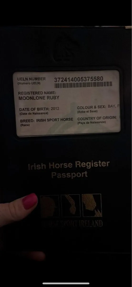 Kroongraaf x master imp - Image 4