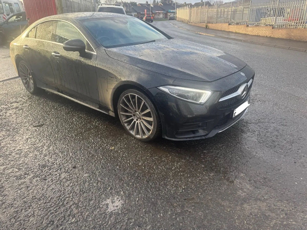 2019 Mercedes CLS 350 - Image 2
