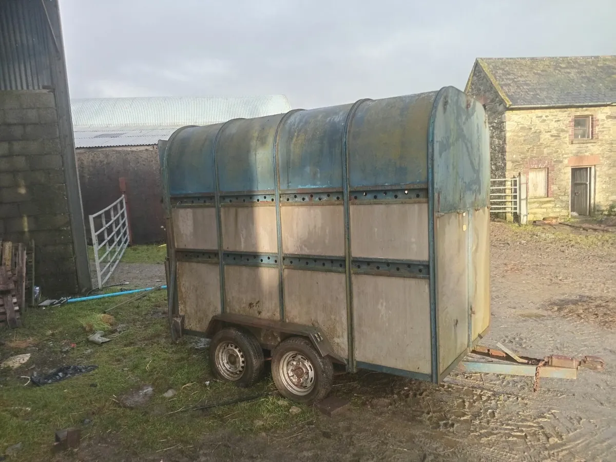 Cattle trailer - Image 2