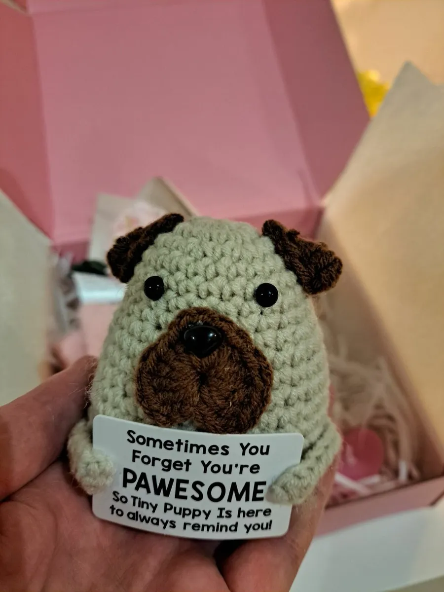 Pick Me Up Pawsome Box - Image 4