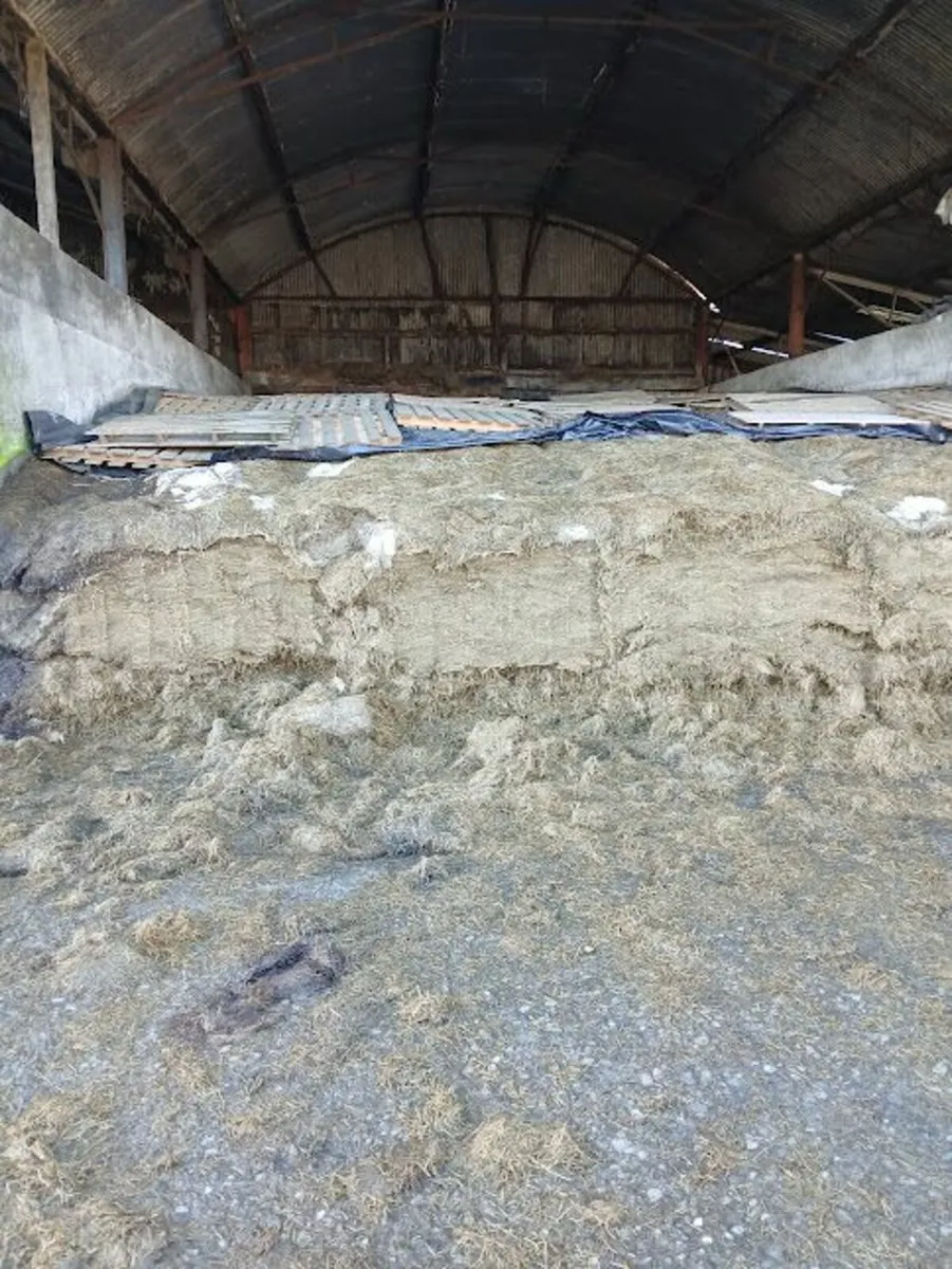 SILAGE & STRAW - Image 3