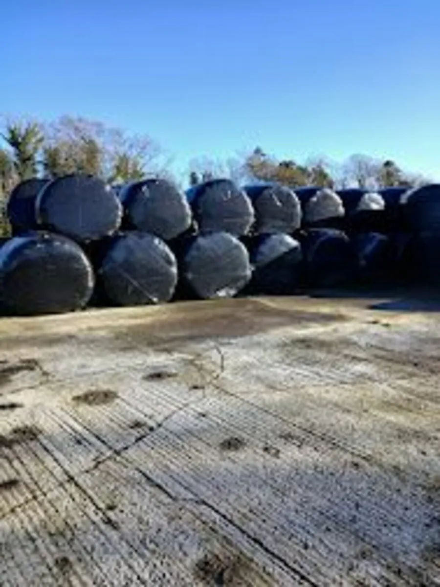 SILAGE & STRAW - Image 2