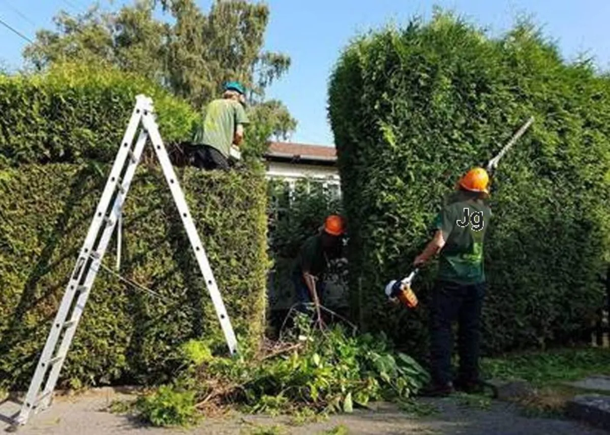 Gardenwork and property maintenance - Image 1