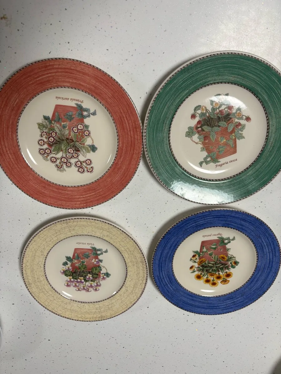 20 Sarah’s Garden Wedgwood Breakfast Plates - Image 1