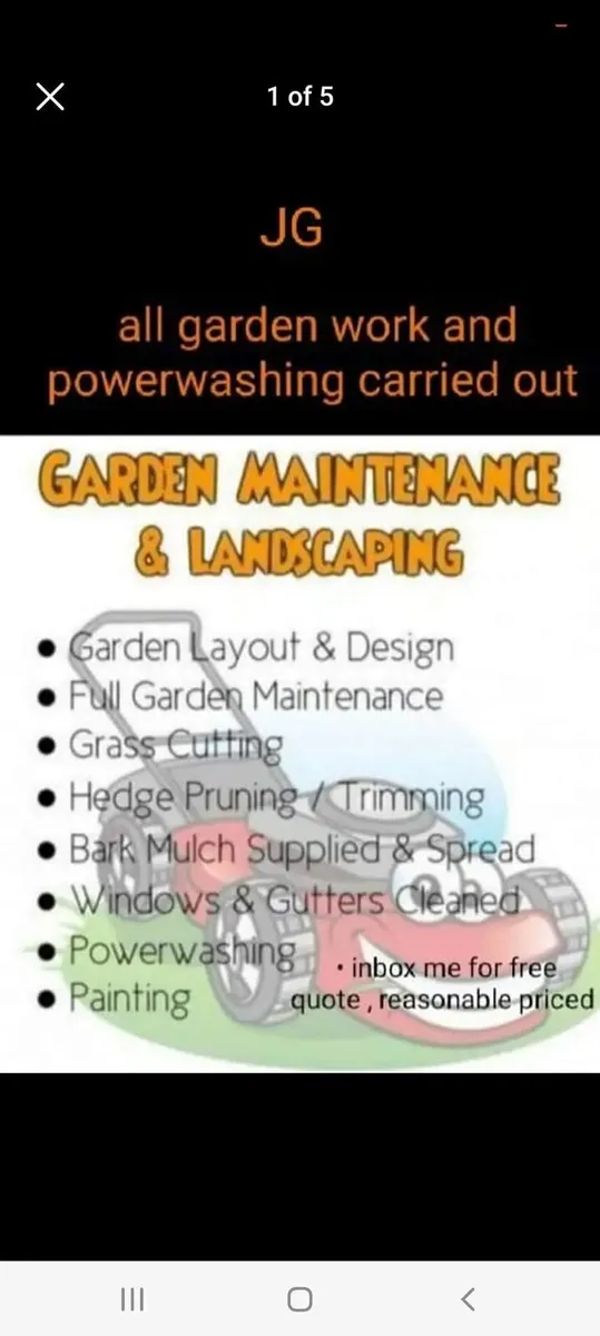 Property maintenance & garden maintenance - Image 4