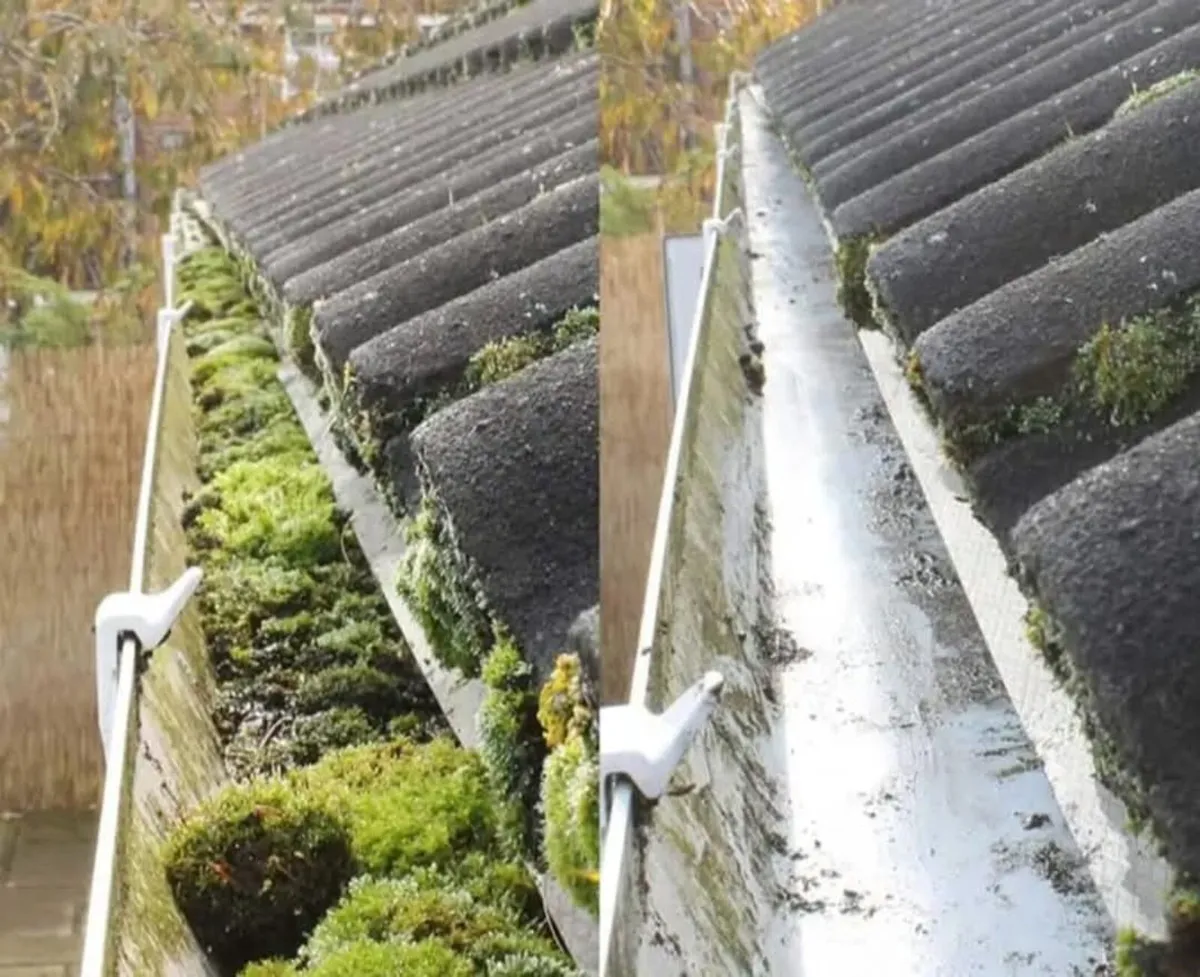 Garden maintenance & powerwashing washing free quo - Image 3