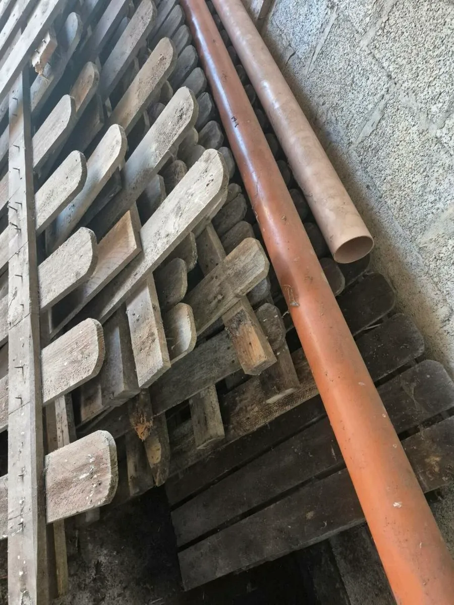 Wooden picket fencing - Image 4