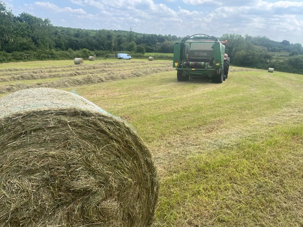 Organic hay full symbol - Image 1