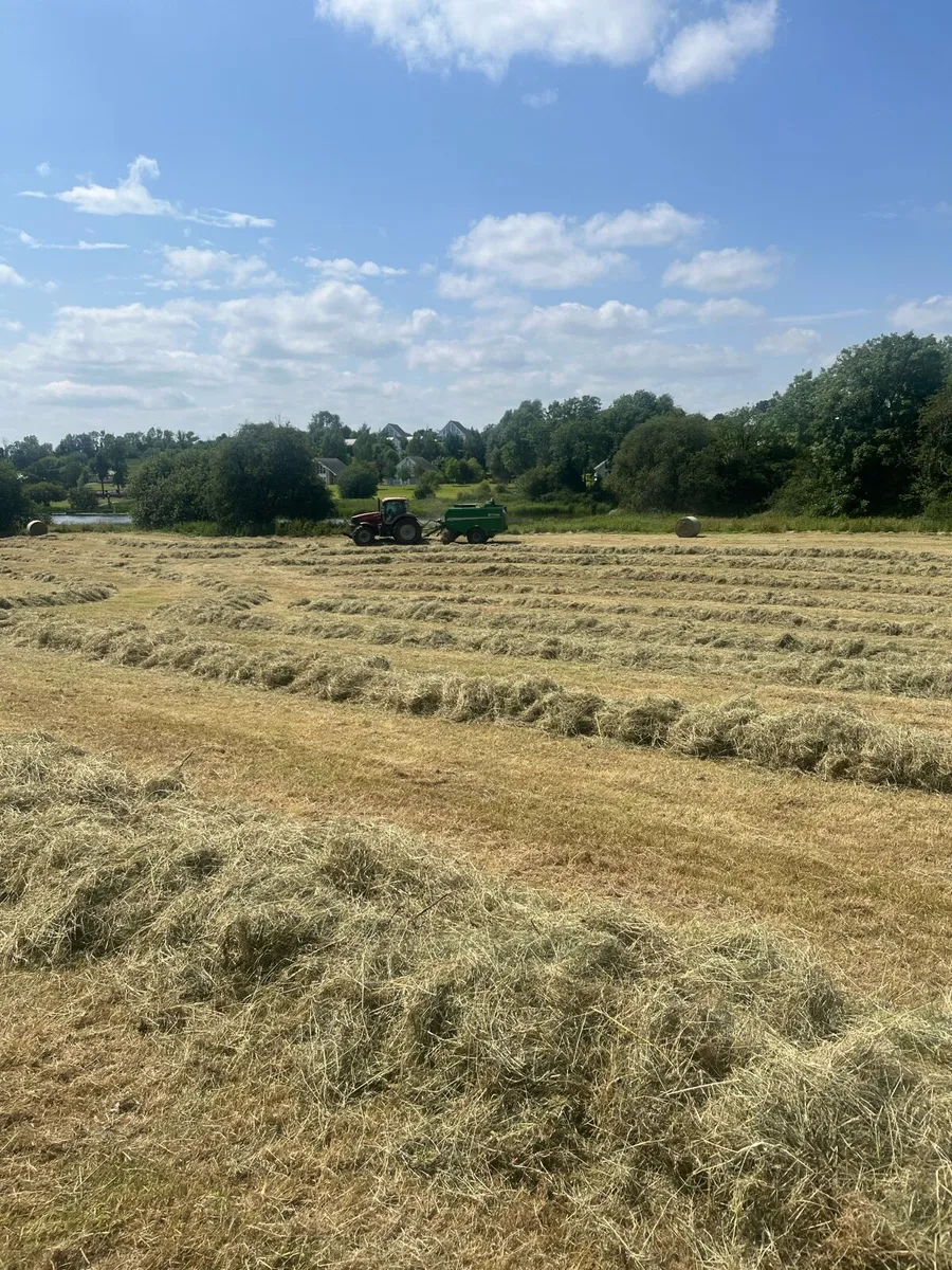 Organic hay full symbol - Image 2