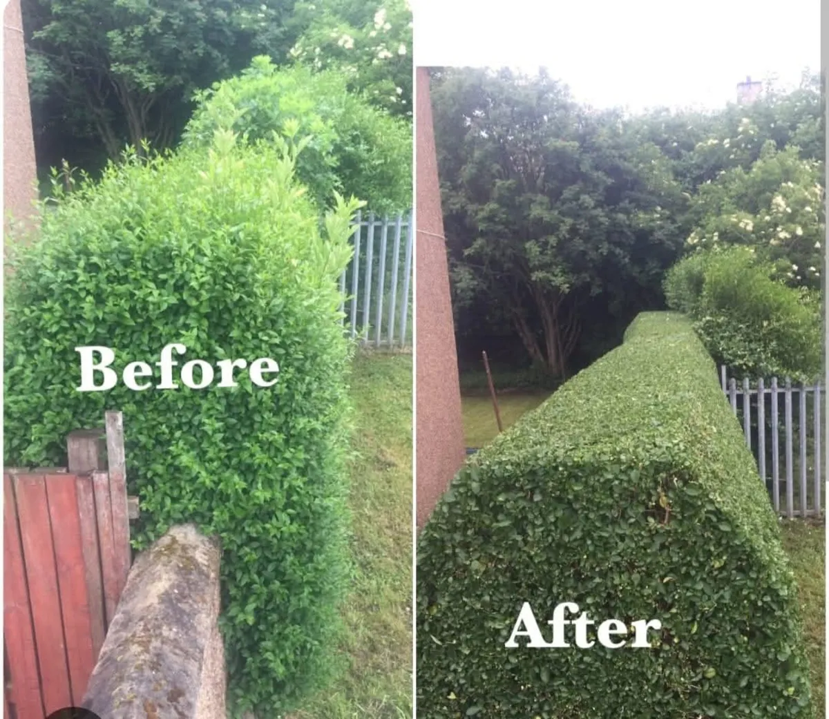 Garden work & landscaping reasonable prices - Image 3