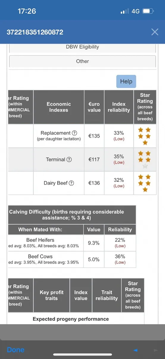 BB Hybrid bull - Image 4