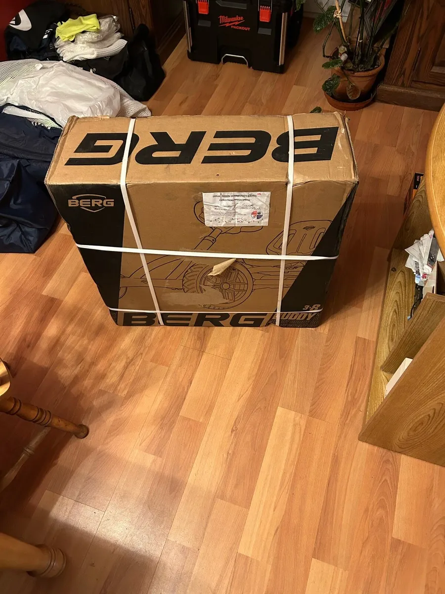 Berg buddy 3.8 go kart - Image 2